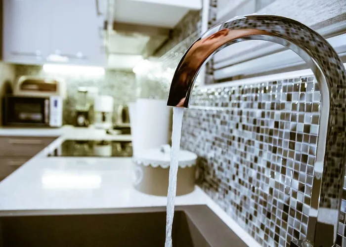 Raimonda's House Lejlighed